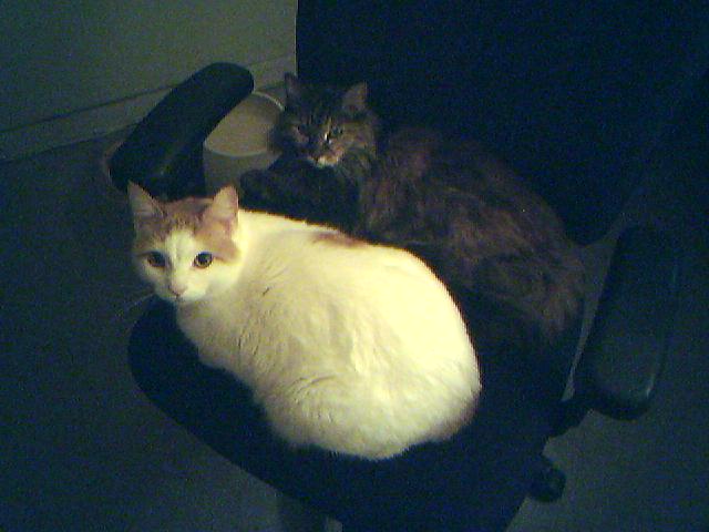 Sharing the chair with Amber